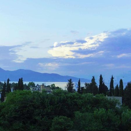 Sunshine Home 2 With Sea View Corfu  Екстер'єр фото